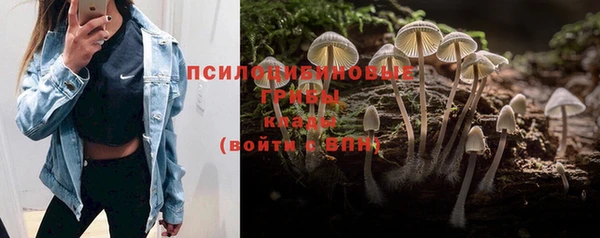 jwh Алексин
