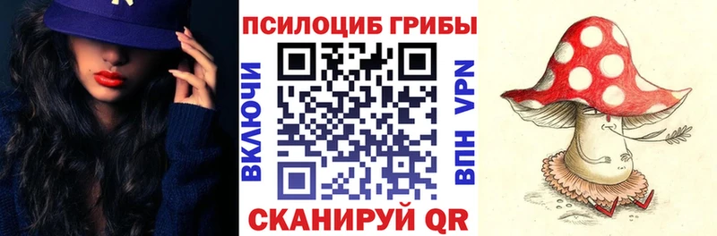 Псилоцибиновые грибы Psilocybe  Лысьва 